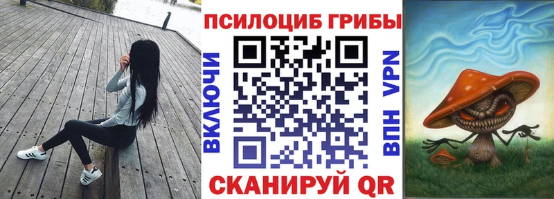 Галлюциногенные грибы Cubensis  KRAKEN как войти  Пучеж 